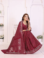 Kanchi Zari Border with Bandhej Print Saree