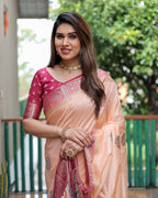 Dola Silk Saree with Contrast Border and Rich Pallu