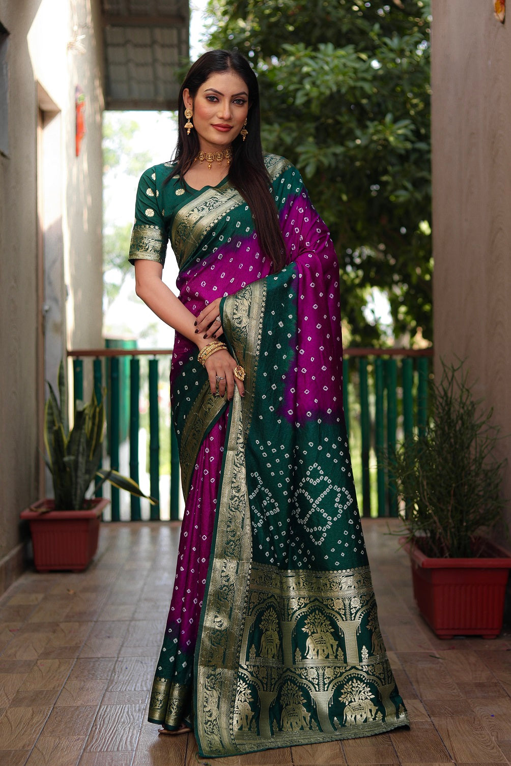Pure Bandhej Silk Saree with Tissue Pallu Main image