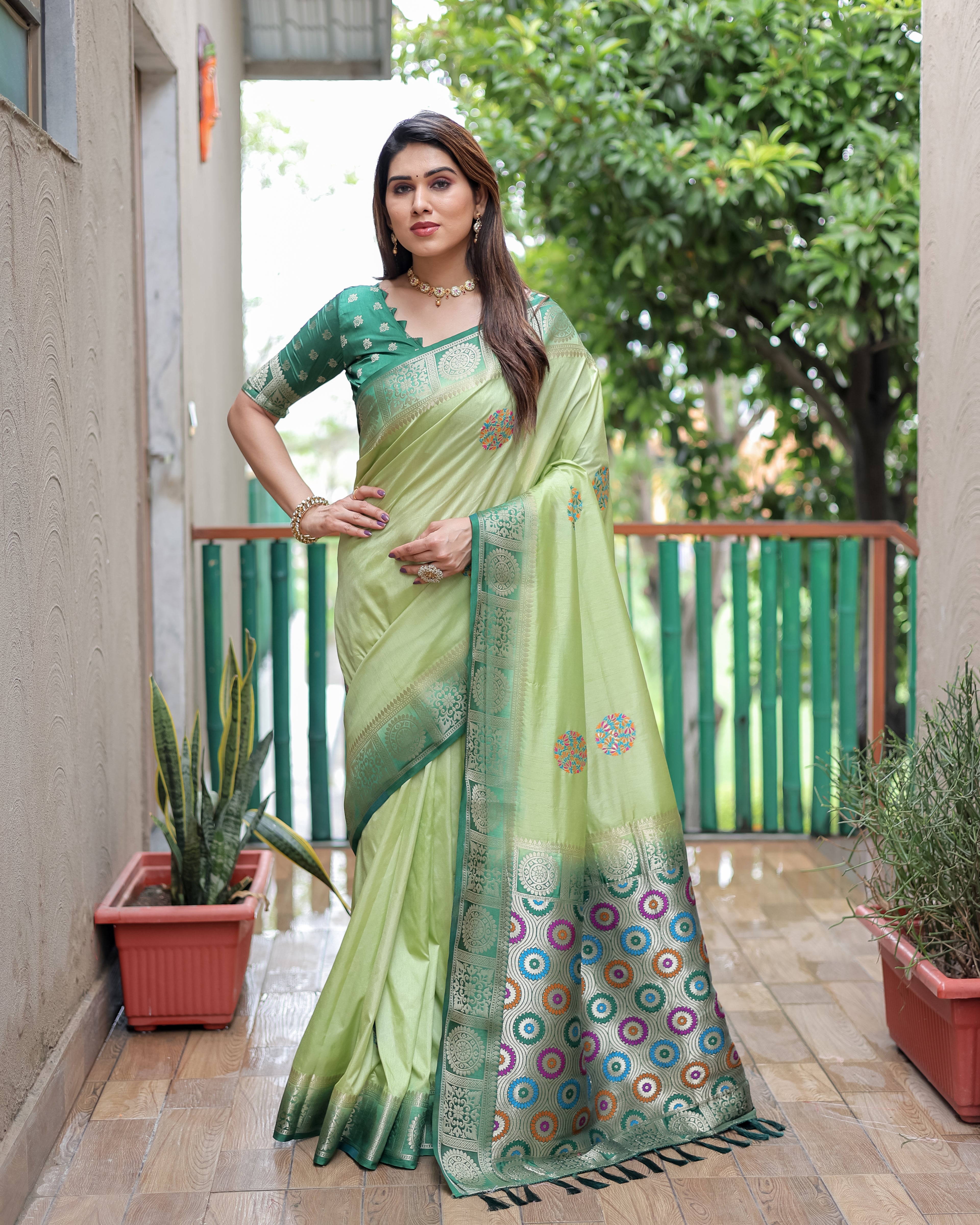 Dola Silk Saree with Contrast Border and Rich Pallu