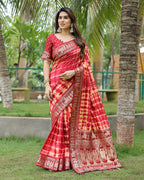Soft Dola Silk Sibori Bandhej Saree with Zari Border