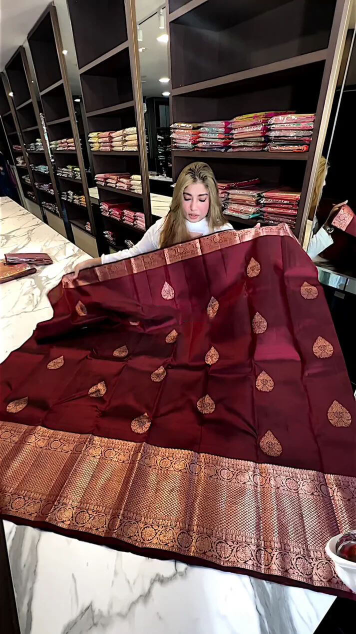 Adorable Wine Soft Silk Saree With Evocative Blouse Piece Main image