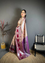 Pure Kanjivaram Silk Saree with Silver Zari Pallu