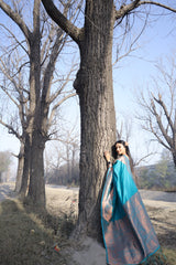 Adorable Sky Blue Color Jacquard Work Saree