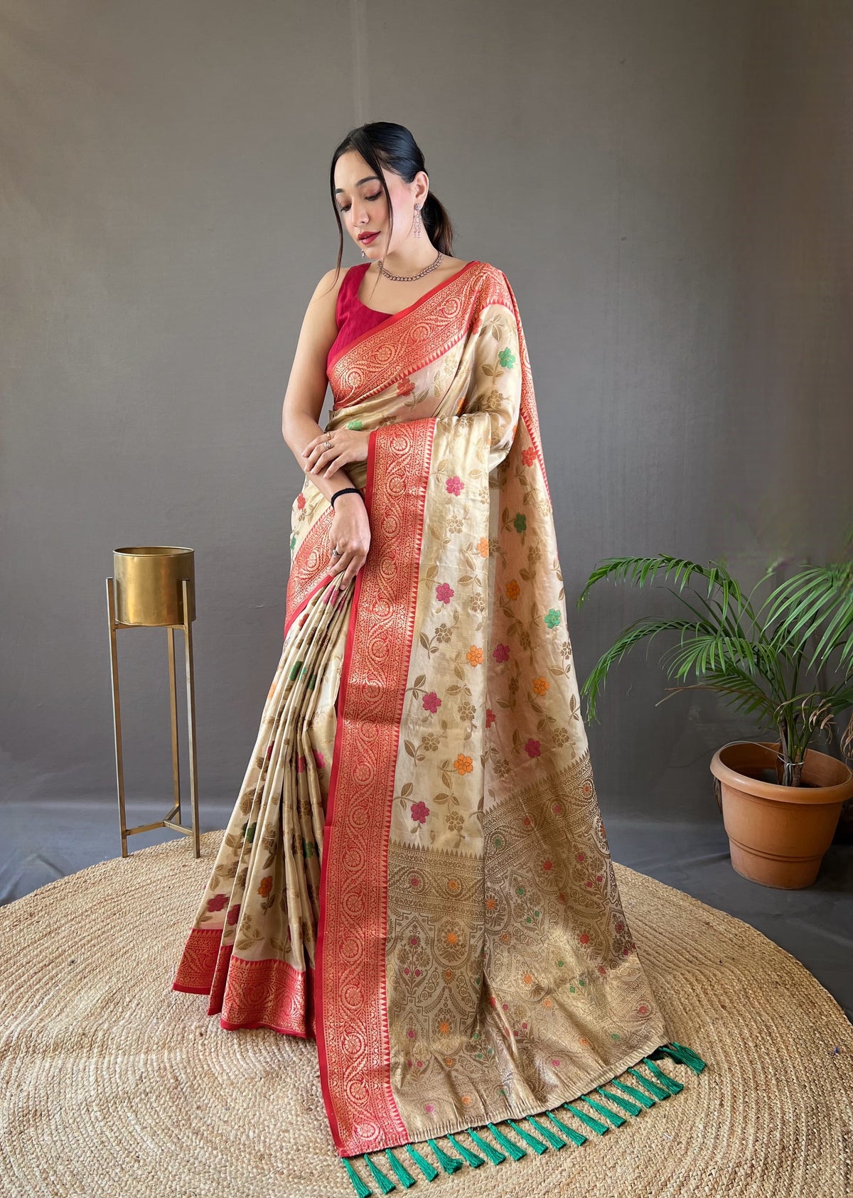 Classic Organza Tissue Silk Beige Color Saree