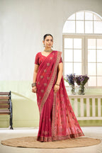 Elegant Jordan Silk Saree