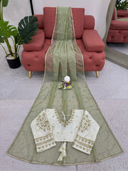 Marriage Special Twill Net Perrot Color Saree