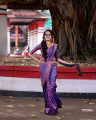 Fabulous Banarasi Silk Purple Color Saree