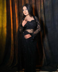 Decent Soft Net Black Color Saree