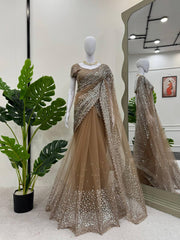 Elegant Soft Net Beige Colour Saree