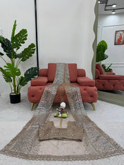 Elegant Soft Net Beige Colour Saree