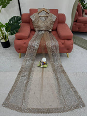 Elegant Soft Net Beige Colour Saree