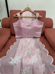 Beautiful Sequence Work Pink Color Saree
